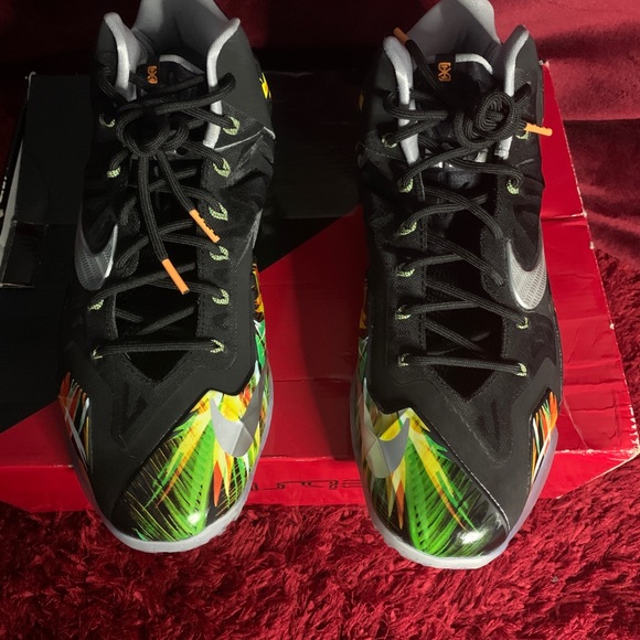 Lebron 11 Everglades size 11.5 main image 6